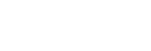 THE RITZ-CARLTON